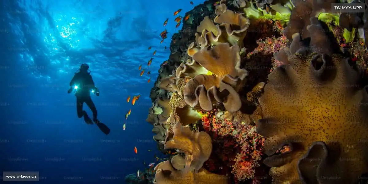 zoty中欧🚣♂️逆流而上,向阳而驰!体育首页,助你解锁运动新可能~